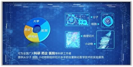 优宁维涨089%成交额399486万元近5日主力净流入-40060万(图1)